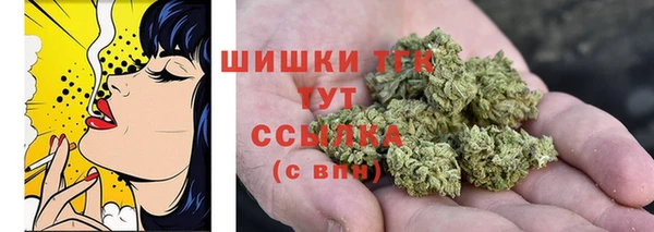 шишки Богородицк