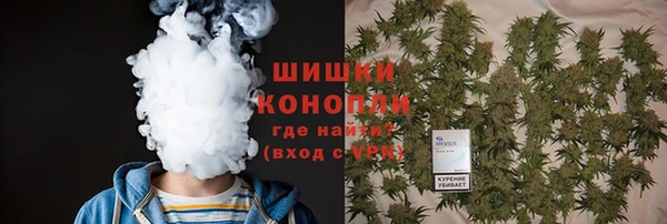 шишки Богородицк