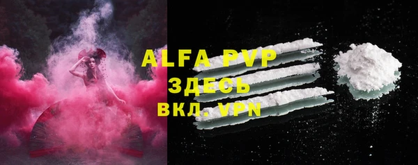 шишки Богородицк