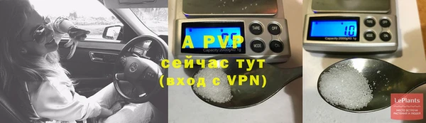 шишки Богородицк
