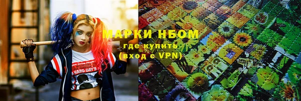 шишки Богородицк