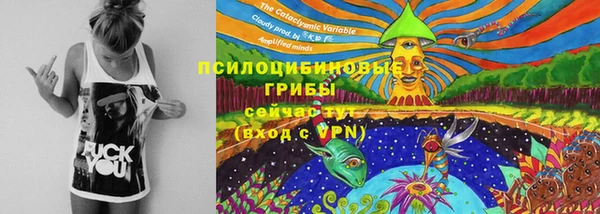 метамфетамин Богданович