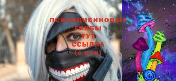 apvp Богородск
