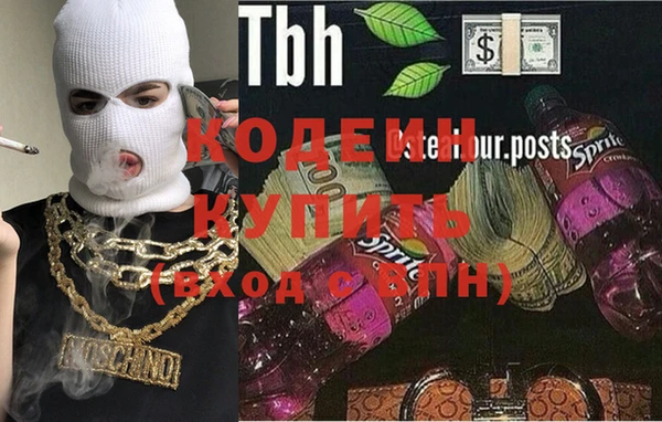 шишки Богородицк