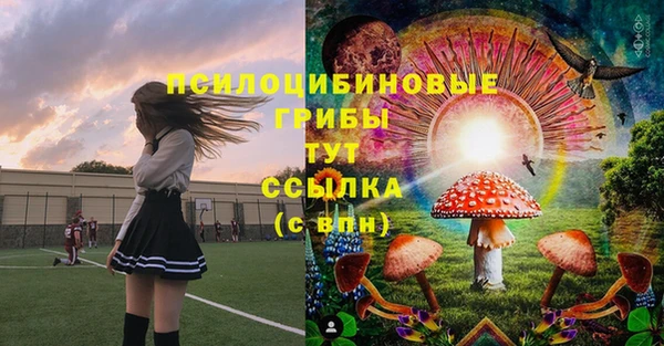 шишки Богородицк