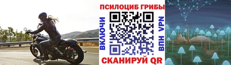дарнет шоп  omg   Псилоцибиновые грибы ЛСД  Дедовск 